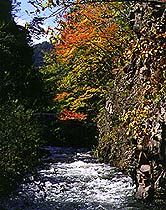 秋の鳥崎渓谷